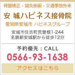 安城ハピネス接骨院・整体院　愛知県安城市　ハピネスグループ